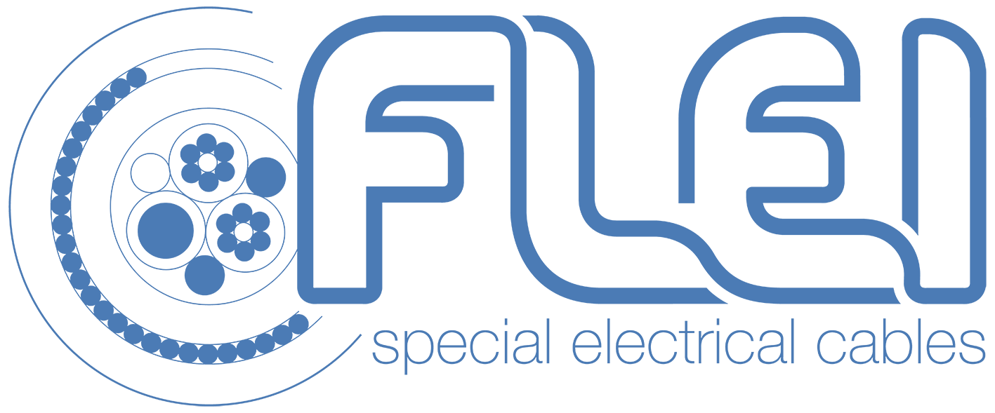 flei_logo